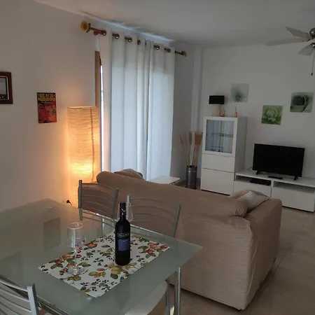 Palma Tellus *